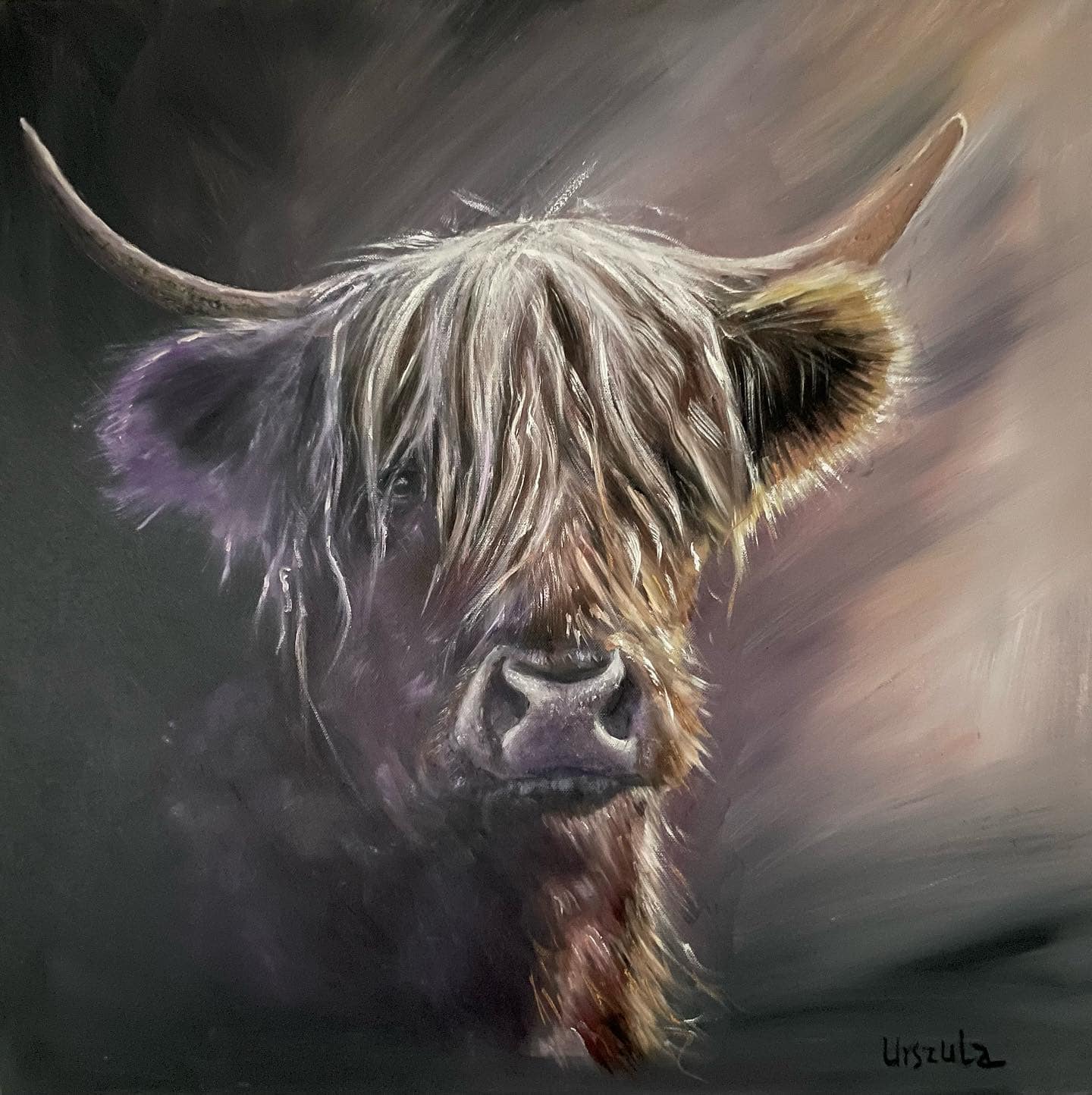 Highland's_cow_ula_pawlowska_artist