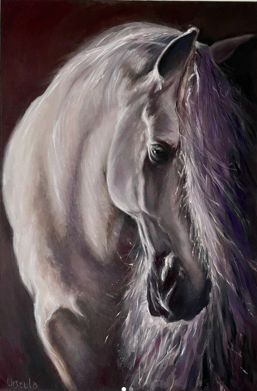 Horse_Ula_Pawlowska_artist